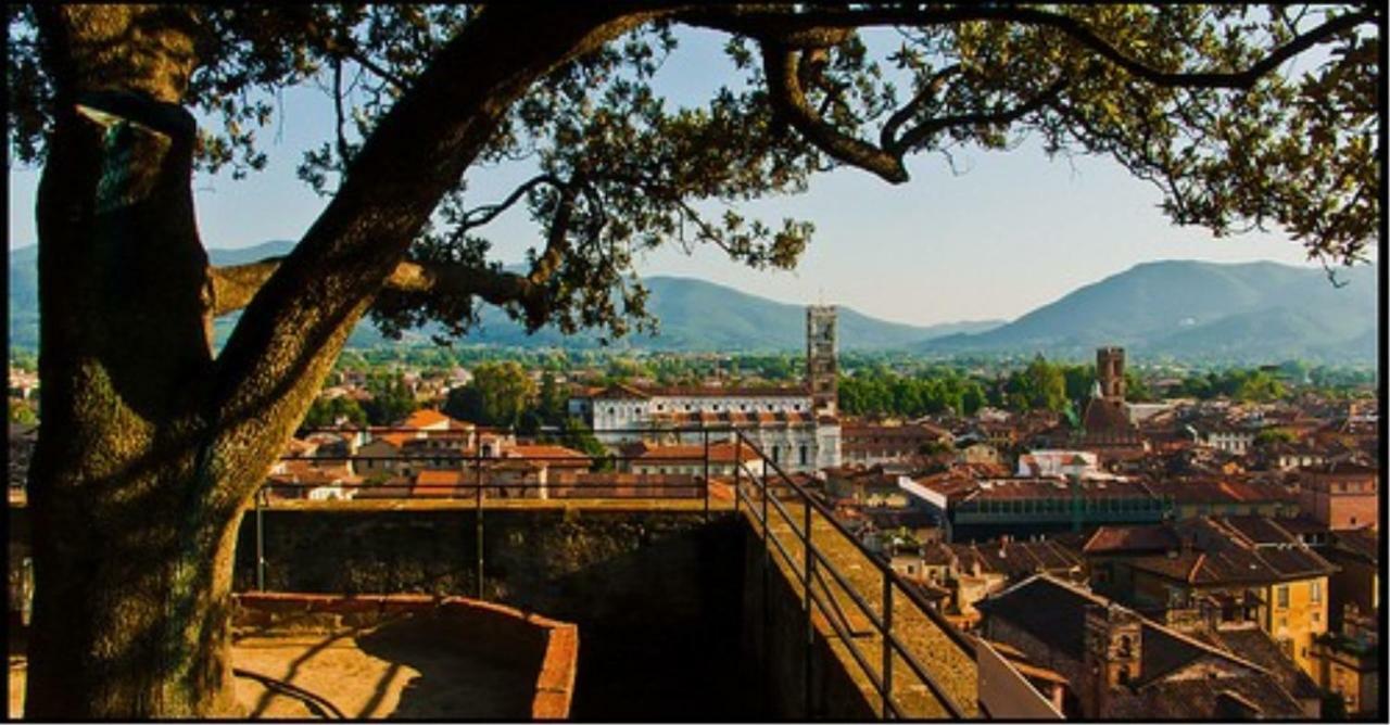 Le Melodie Di Lucca Luaran gambar